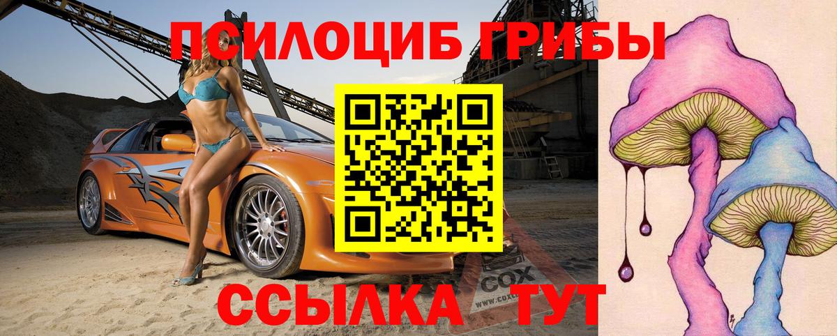Галлюциногенные грибы MAGIC MUSHROOMS Дмитров