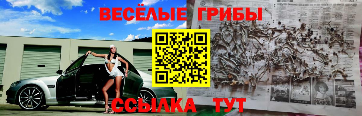 Дмитров  Псилоцибиновые грибы прущие грибы  Вход с VPN 